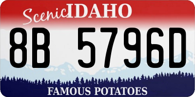 ID license plate 8B5796D