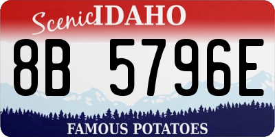 ID license plate 8B5796E