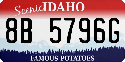 ID license plate 8B5796G
