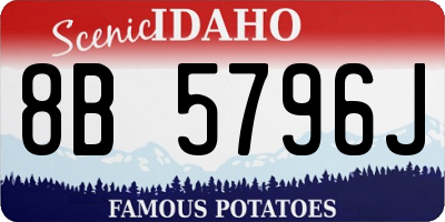 ID license plate 8B5796J