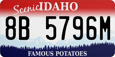 ID license plate 8B5796M