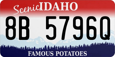ID license plate 8B5796Q
