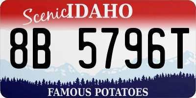 ID license plate 8B5796T