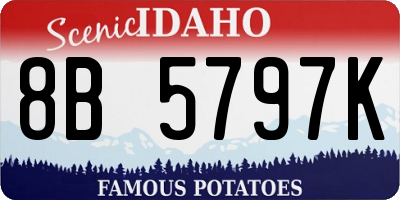 ID license plate 8B5797K