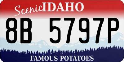 ID license plate 8B5797P
