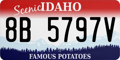 ID license plate 8B5797V