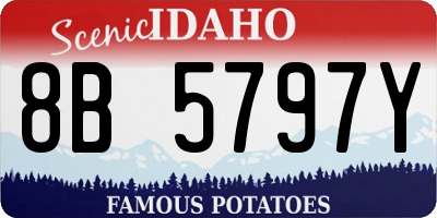 ID license plate 8B5797Y