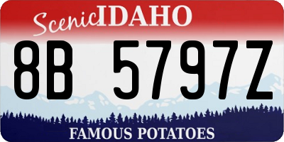 ID license plate 8B5797Z