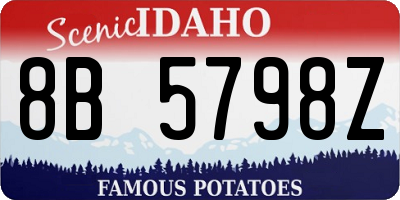 ID license plate 8B5798Z