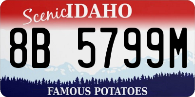 ID license plate 8B5799M