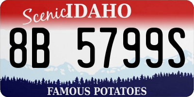 ID license plate 8B5799S