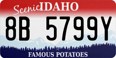 ID license plate 8B5799Y