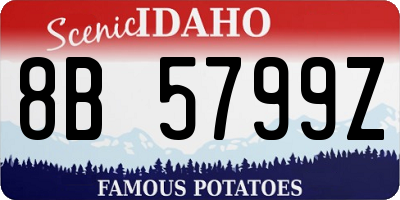 ID license plate 8B5799Z
