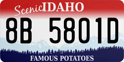 ID license plate 8B5801D
