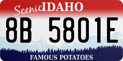 ID license plate 8B5801E
