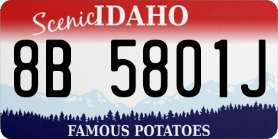 ID license plate 8B5801J