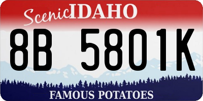 ID license plate 8B5801K