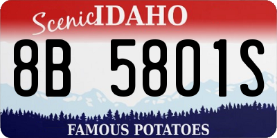 ID license plate 8B5801S