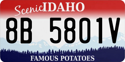 ID license plate 8B5801V