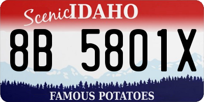 ID license plate 8B5801X