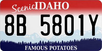 ID license plate 8B5801Y