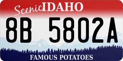 ID license plate 8B5802A