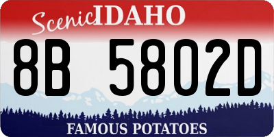 ID license plate 8B5802D