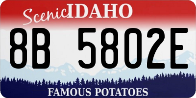 ID license plate 8B5802E