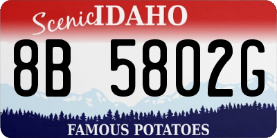 ID license plate 8B5802G