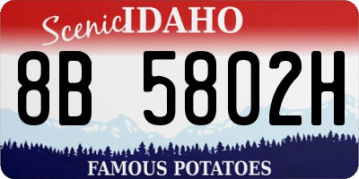 ID license plate 8B5802H