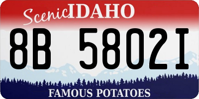 ID license plate 8B5802I
