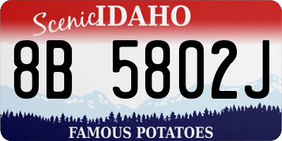 ID license plate 8B5802J