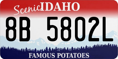 ID license plate 8B5802L
