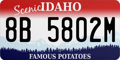 ID license plate 8B5802M