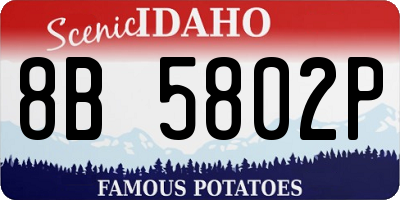 ID license plate 8B5802P