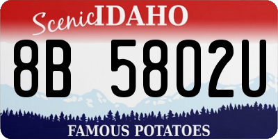 ID license plate 8B5802U