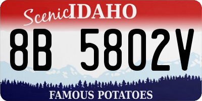 ID license plate 8B5802V