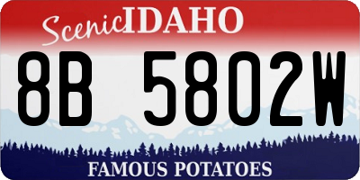 ID license plate 8B5802W