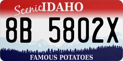 ID license plate 8B5802X