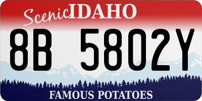 ID license plate 8B5802Y