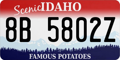 ID license plate 8B5802Z