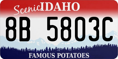 ID license plate 8B5803C