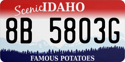ID license plate 8B5803G