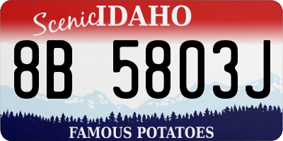 ID license plate 8B5803J