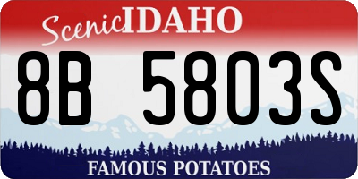 ID license plate 8B5803S