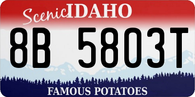 ID license plate 8B5803T