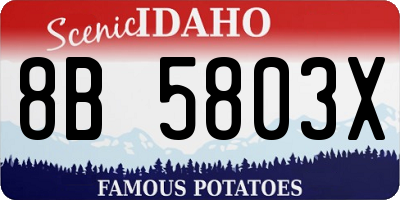 ID license plate 8B5803X