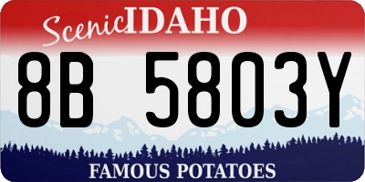 ID license plate 8B5803Y