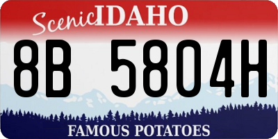 ID license plate 8B5804H