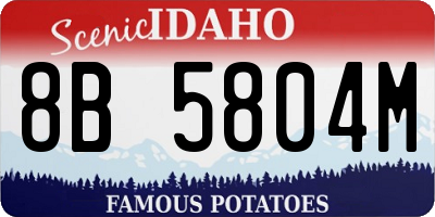 ID license plate 8B5804M